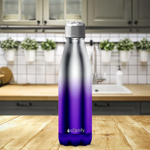 Purple Ombre Translucent 17oz Retro Water Bottle