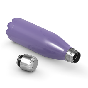 Lavender Gloss 17oz Retro Water Bottle