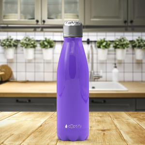 Purple Gloss 17oz Retro Water Bottle