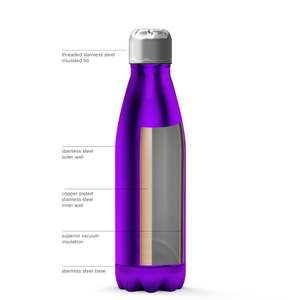 Purple Translucent 17oz Retro Water Bottle