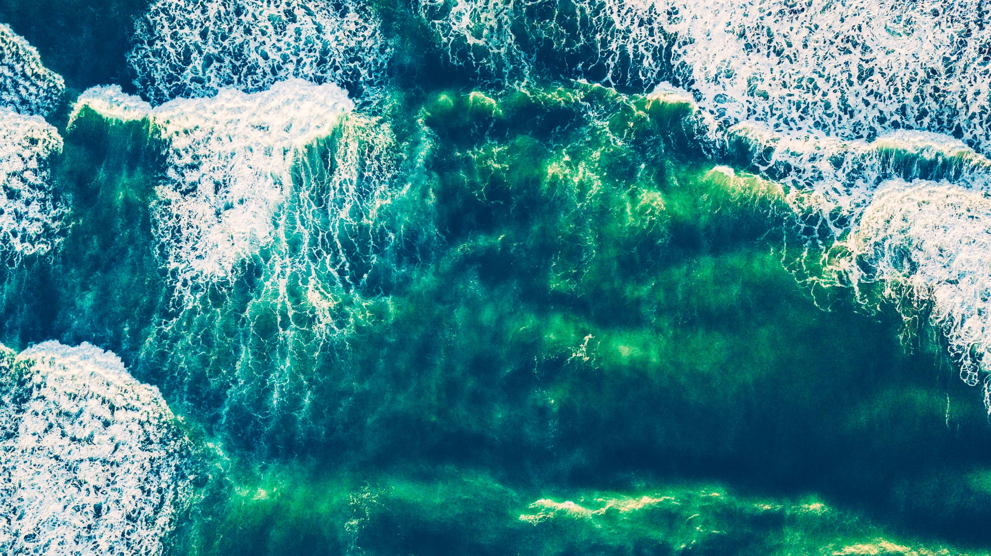 Cuptify's Priority to Be Eco-friendly