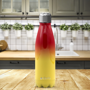 Arizona Ombre 17oz Retro Water Bottle
