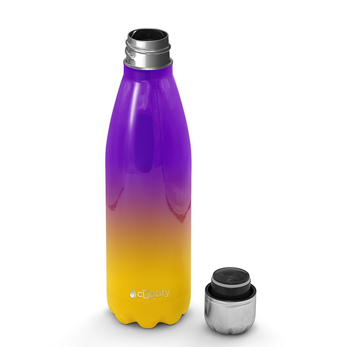 Minnesota Ombre 17oz Retro Water Bottle