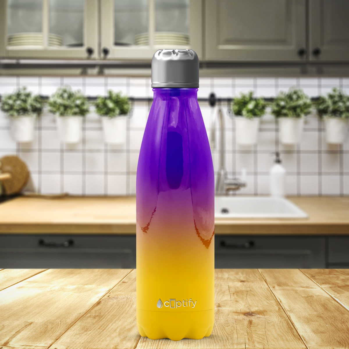 Minnesota Ombre 17oz Retro Water Bottle
