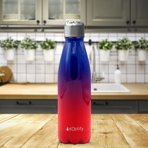 New York Ombre 17oz Retro Water Bottle