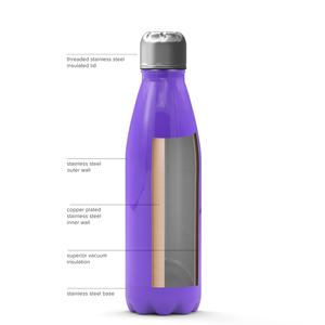 Purple Gloss 17oz Retro Water Bottle