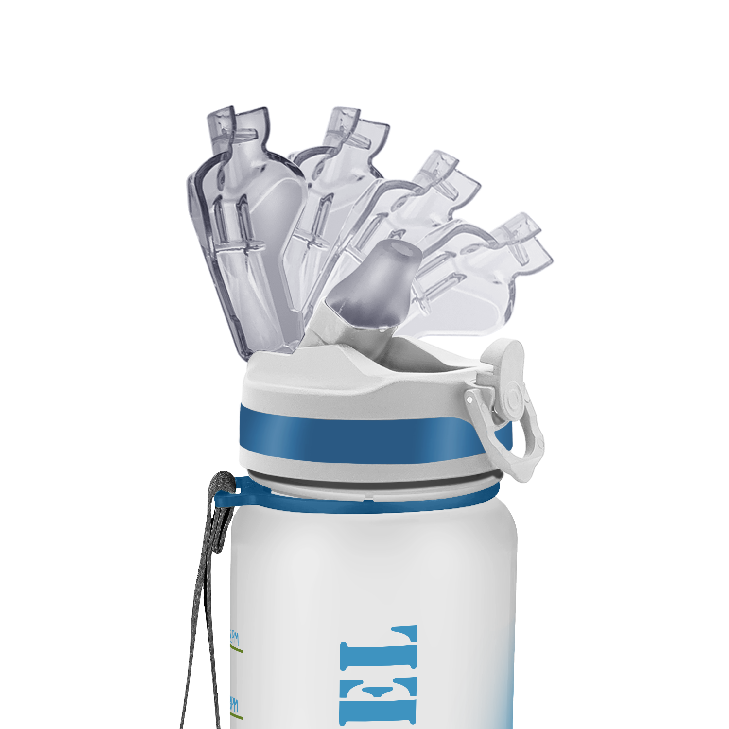 Blue Dino Bottle Bundle