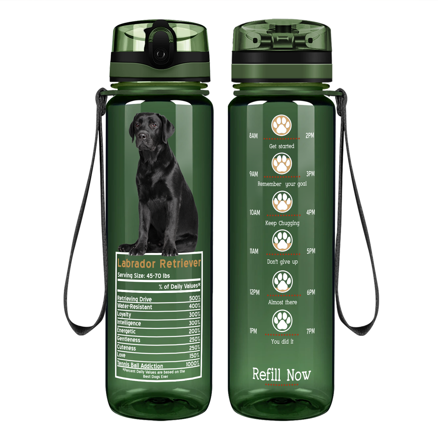 Labrador Retriever Facts on 32 oz Motivational Tracking Water Bottle